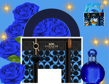 🌸BLUE AND BLACK PURSE MONEY HOLDER