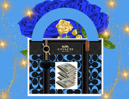 🌸BLUE AND BLACK PURSE MONEY HOLDER